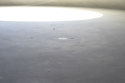 豊島美術館 朝の特別鑑賞プログラム体験記<br>(2019年4月14日)