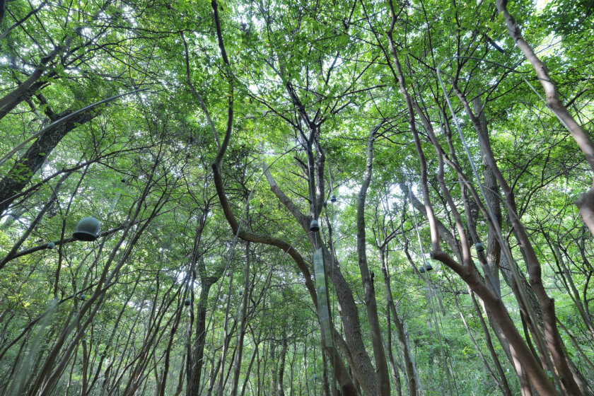 クリスチャン・ボルタンスキー氏追悼メッセージ:<br>北川フラム